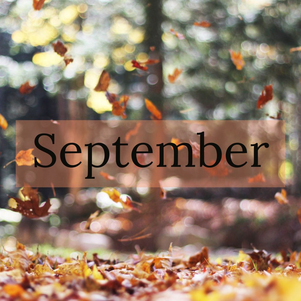 366 Day Motivation Encouragement and Inspiration Calendar September-December