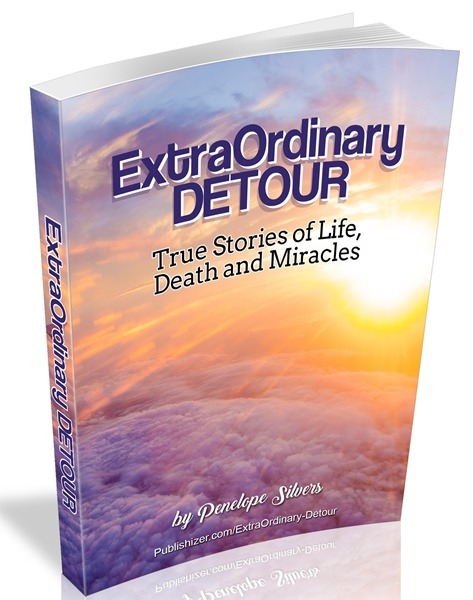 ExtraOrdinary Detour Book Pre-Order Available on Publishizer