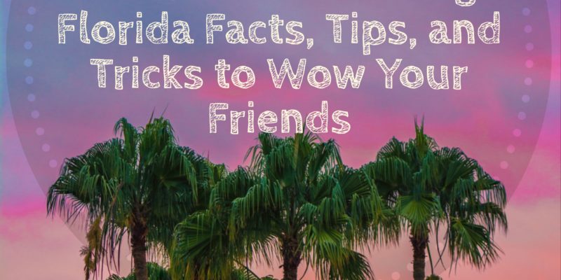 57 Amazing Florida Facts Tips and TricksC