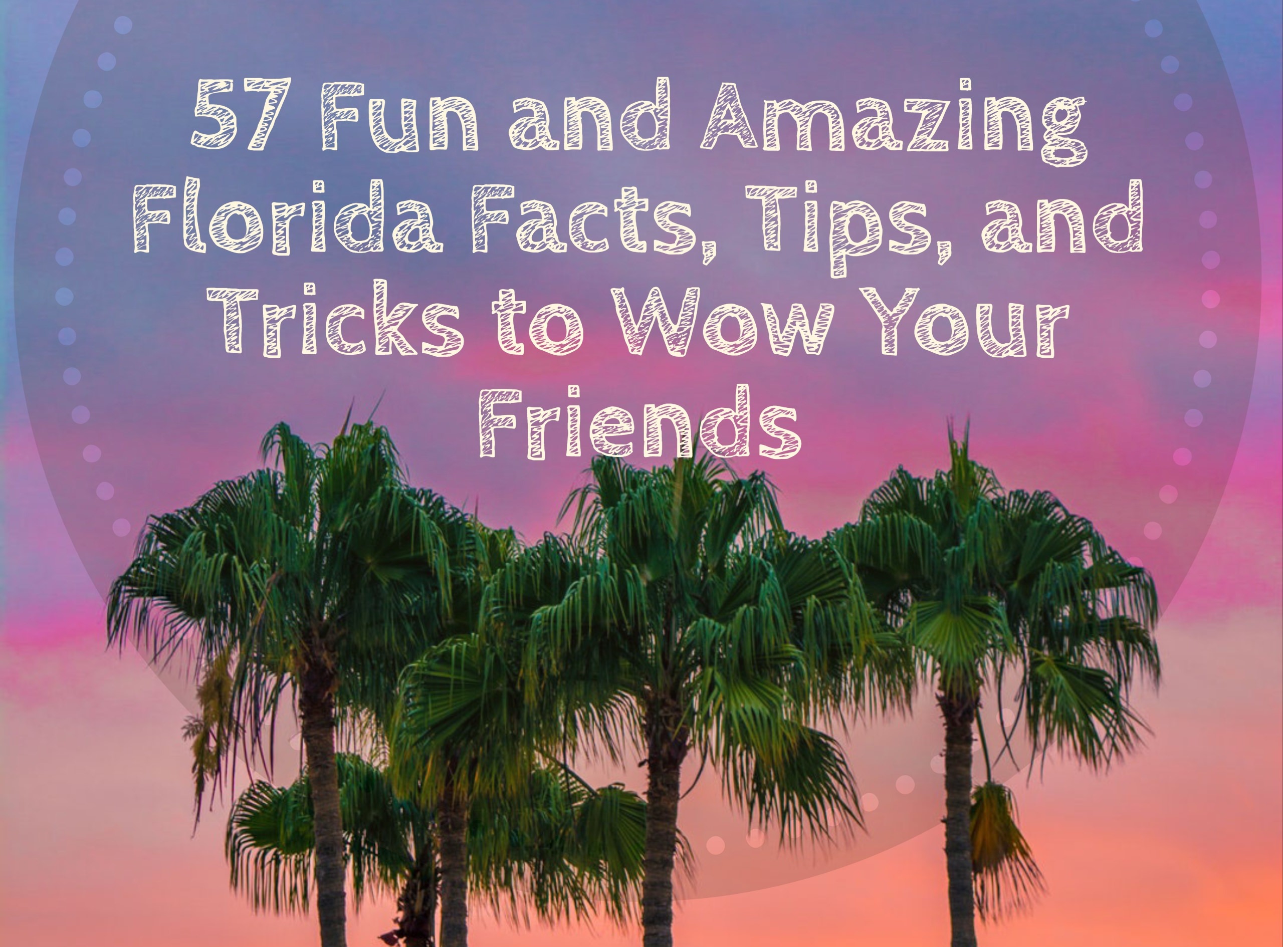 57 Fun and Amazing Florida Facts, Tips, and Tricks to Wow Your Friends