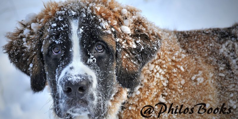 winter memories